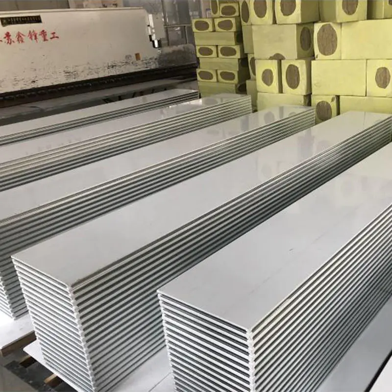 Stainla chalybe manuali cleanroom panel